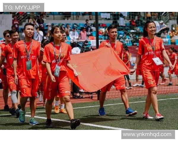 飞盘战术解析北京飞盘队的进攻体系与战术创新探讨